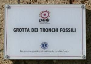 grotta tronchi fossili orvieto