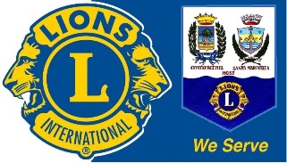 Logo LIons guidoncino piccola