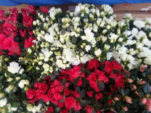 img-20170514-wa0013